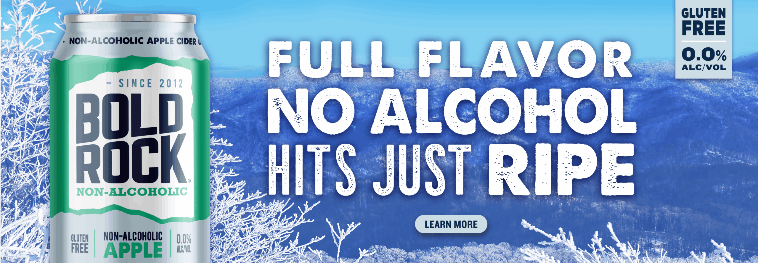 Non-Alcoholic Apple Cider